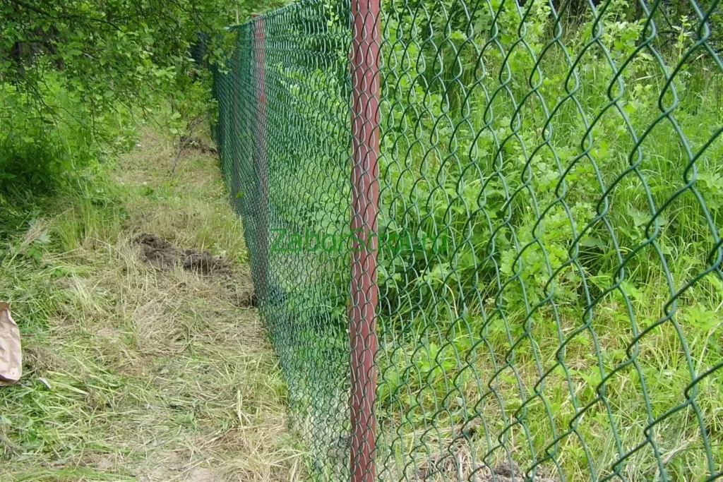 забор из Рабицы